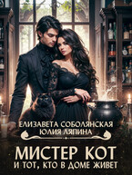 Мистер Кот и тот, кто в доме живет (Елизавета Соболянская)