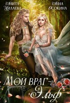 Мой враг — эльф (Анна Осокина
                                                                                                            
                                                                                                                                                                                                                                        ,
                                                                
                                                                                                                                            Анита Милаева)