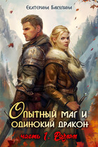 Опытный маг и одинокий дракон — 1. Разлом (Екатерина Бакулина)