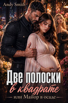 Две полоски в квадрате, или Майор в осаде (Andy Smith)