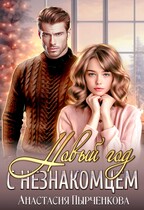 Новый год с незнакомцем (Анастасия Пырченкова)