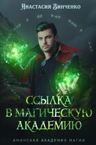 Ссылка в Магическую Академию (Анастасия Зинченко)