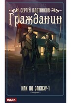 Как по заказу. Книга 1. Гражданин (Плотников Сергей)
