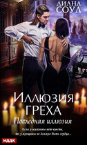 Инкуб. Последняя иллюзия (Диана Соул)