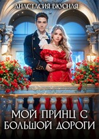 Мой принц с большой дороги (Анастасия Вкусная)