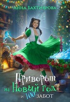Приворот на Новый год и 100 забот (Анна Бахтиярова)