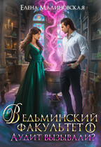 Ведьминский факультет. Книга 1. Аудит вызывали? (Елена Малиновская)