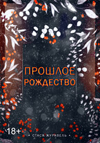 Прошлое Рождество (Стася Журавель)