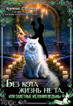 Без кота жизнь не та, или Заветные желания ведьмы (Книжный Странник)