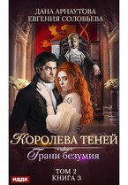 Королева Теней. Книга 3. Грани безумия. Том 2 (Арнаутова Дана, Соловьева Евгения)