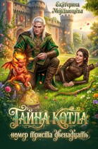 Тайна котла номер триста двенадцать (Екатерина Мордвинцева)