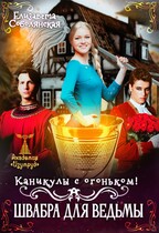Каникулы с огоньком. Швабра для ведьмы (Елизавета Соболянская)