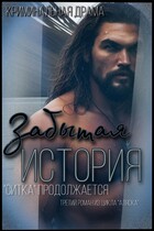 Забытая история (Жанна Софт)