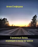 Стриженые белки, играющие в покер на трассе. (Агния Стефёдова)