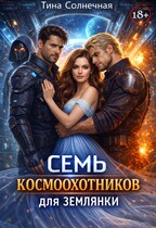 Семь космоохотников для землянки (Тина Солнечная)