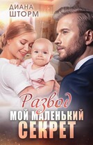 Развод. Мой маленький секрет (Диана Шторм)