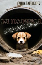 За полчаса до весны (Ирина Гаренских)