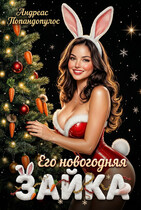 Его новогодняя зайка (Андреас Попандопулос)