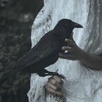 Хижина Чёрного Ворона (Марина Ашихова)
