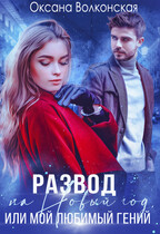Развод на Новый год, или Мой любимый гений (Оксана Волконская)