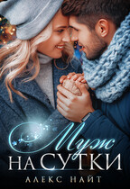 Муж на сутки. Сборник рассказов (Алекс Найт)