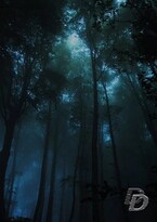 Безвременье (Даниелла Донская)