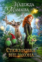 Стажировка вне закона (Надежда Мамаева)