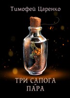Три сапога — пара (Тимофей Царенко)