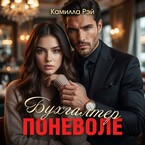 Бухгалтер поневоле (Камилла Рэй)