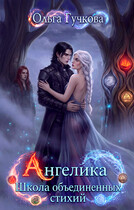 Ангелика. Школа объединенных стихий (Ольга Гучкова)