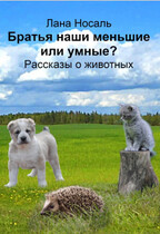 Братья наши меньшие или умные? (Лана Носаль)