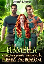 Измена. Последний отпуск перед разводом (Мередит Блэкстоун)