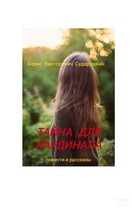 Тайна для кардинала (Борис Викторович Сударушкин)