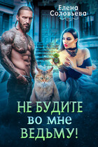 Не будите во мне ведьму (Елена Соловьева)