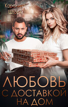 Любовь с доставкой на дом (Каролина Шторм)