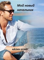 Мой новый начальник (Айлин Брайт)