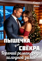 Пышечка для свёкра. Горячий роман среди холодной зимы (Кара Мин)