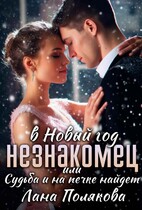 Незнакомец в Новый год или судьба и на печке найдет (Лана Полякова)