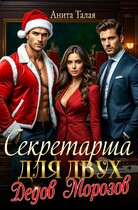 Секретарша для двух Дедов Морозов (Анита Талая)