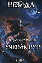 Незида. Ученик рун (Виталий Пламенев)