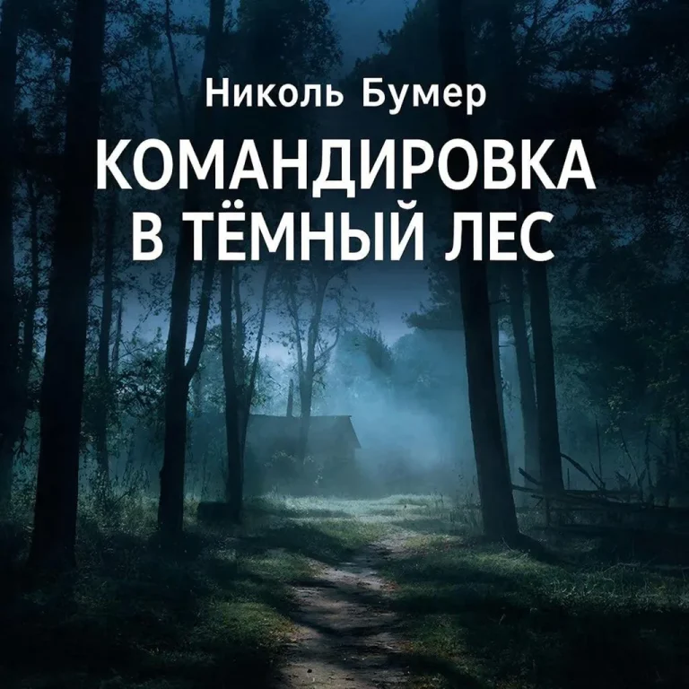 Командировка в темный лес (Николь Бумер)