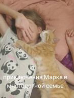 Приключения Марка в многодетной семье. (Елена Лемдясова)