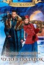 Агентство Купидон. Чудо в подарок (Екатерина Мордвинцева)