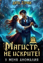Магистр, не искрите! У меня аномалия (Дита Терми)
