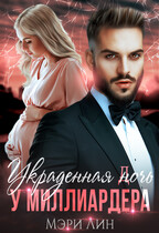 Украденная ночь у миллиардера (Мэри Лин)