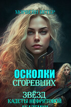 Осколки сгоревших звёзд. Книга 1. Кадеты Нефритовой Академии (Морвейн Ветер)