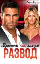 Развод. Мужчины (не) плачут (Саша Аверина)