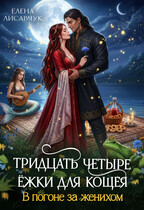 Тридцать четыре Ёжки для Кощея. В погоне за женихом ( часть 3) (Елена Лисавчук)