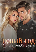 Новый Год с незнакомцем (Asya Qui)
