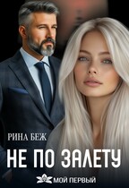 Не по залёту (Рина Беж)